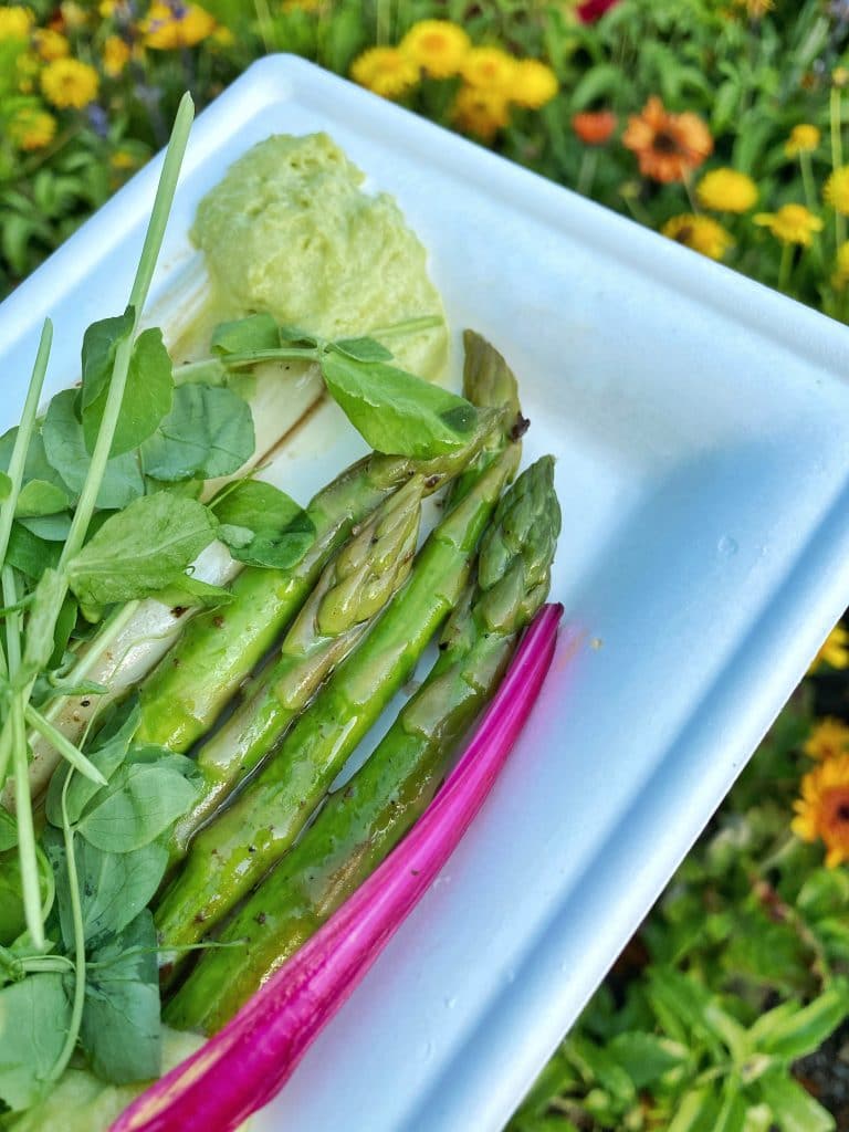 Warm Asparagus Farmers Feast