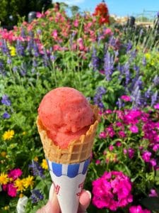 Strawberry Sorbet Gelateria Toscana vegan