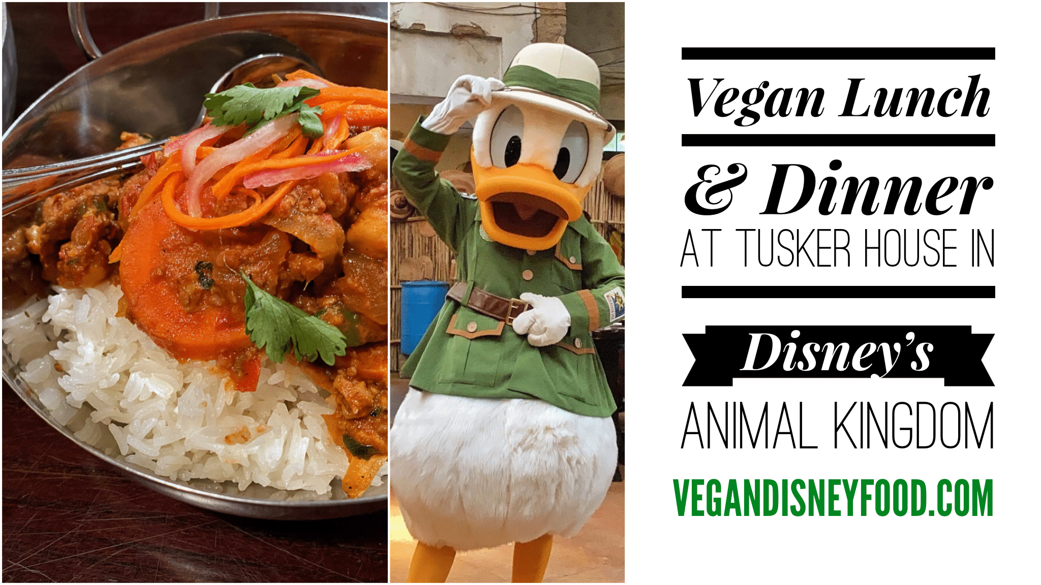 Vegan Lunch and Dinner at Tusker House in Disney's Animal Kingdom
