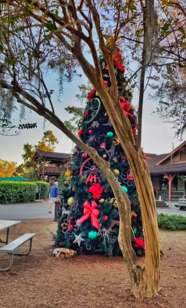 Fort Wilderness at Christmas