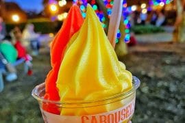 Fort Wilderness Food Trucks Vegan Carousel ice cream