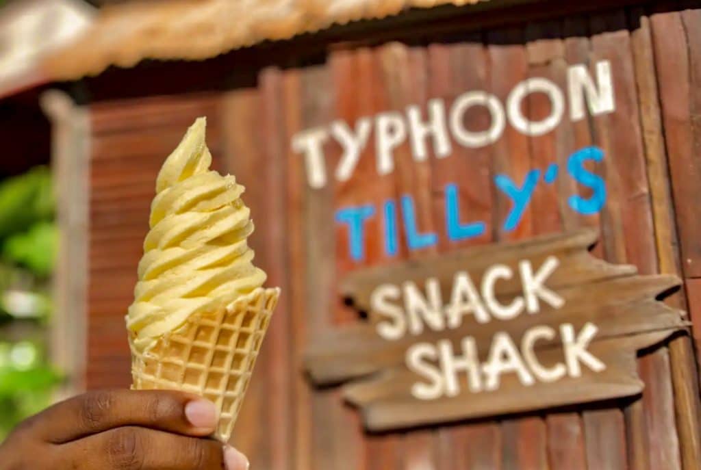 Vegan Dole Whip cone Typhoon Lagoon