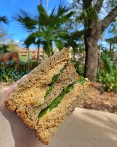 Vegan Chickpea Sandwich the Mara