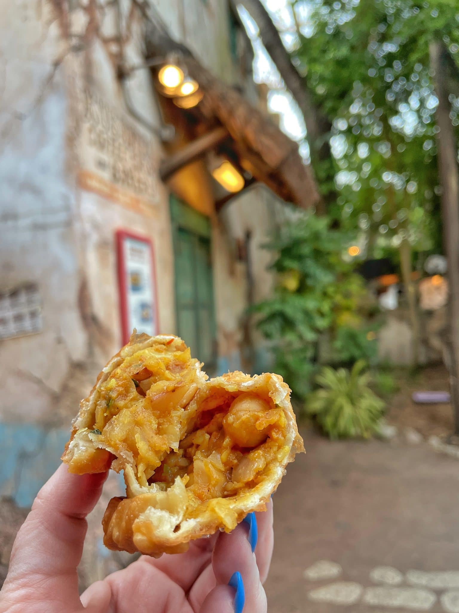 Spiced Potato Hand Pies Kusafiri Animal Kingdom