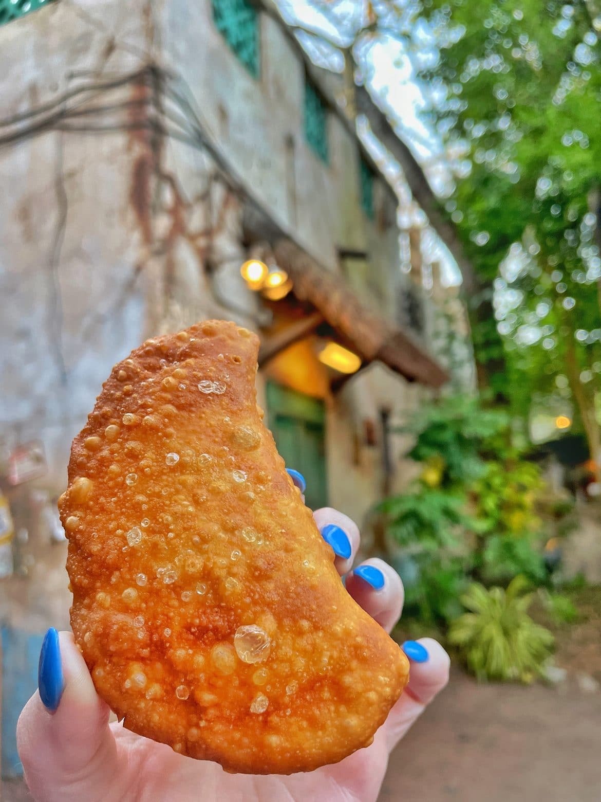 Vegan Spiced Potato Hand Pies at Disney's Animal Kingdom Vegan Disney