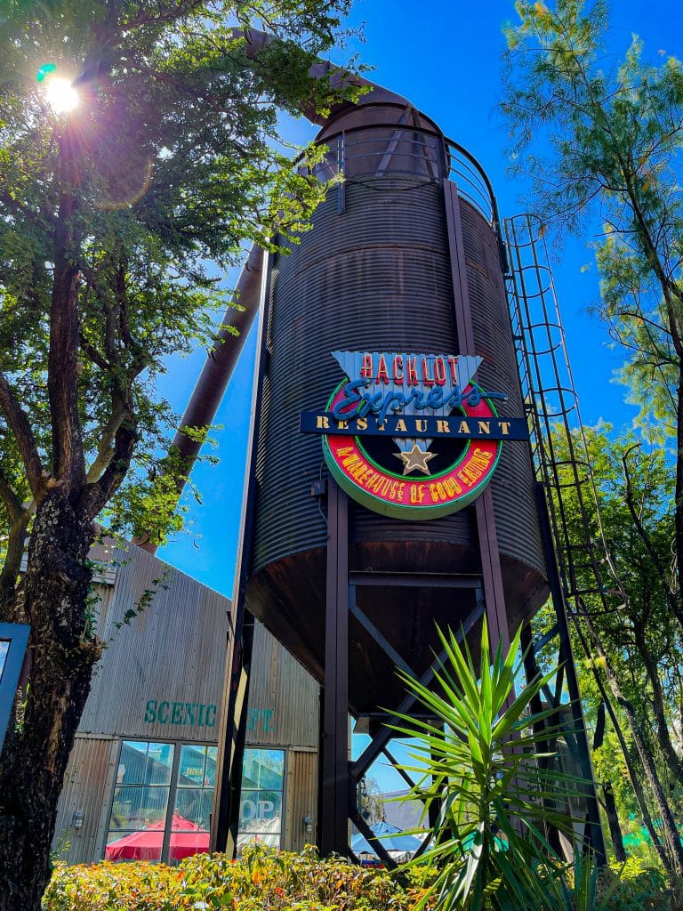 Vegan Teriyaki Tofu Bowl at Backlot Express in Disney's Hollywood