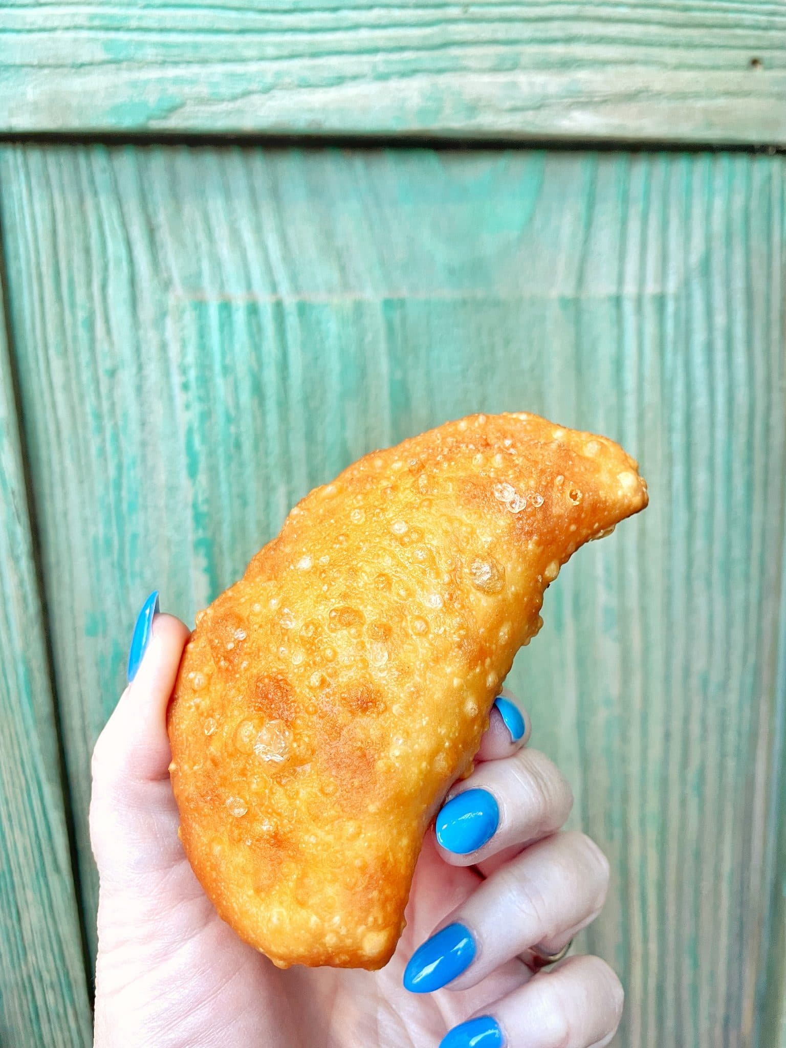 Spiced Potato Hand Pies Kusafiri Animal Kingdom