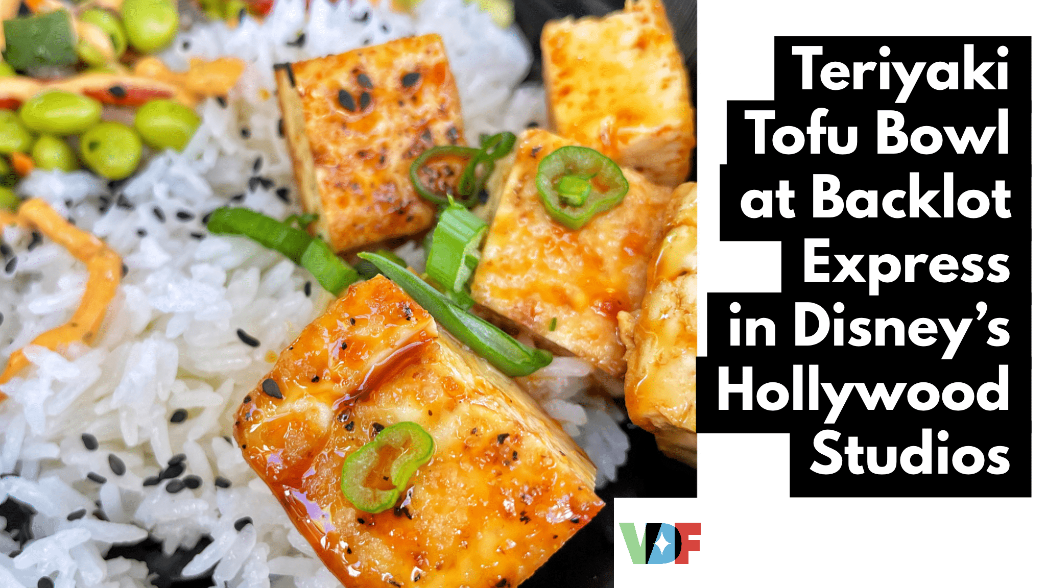 Vegan Teriyaki Tofu Bowl at Backlot Express in Disney's Hollywood