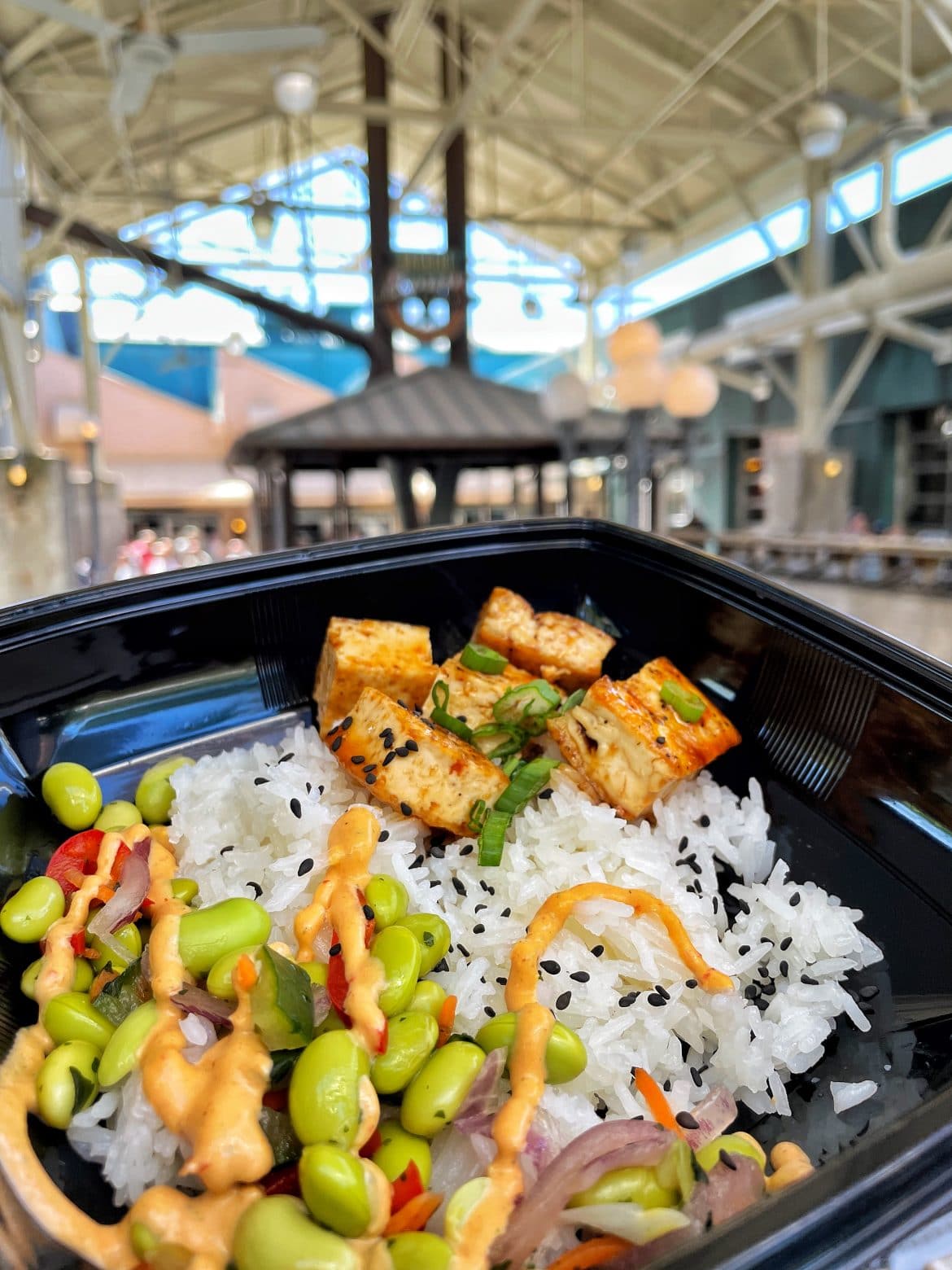 Vegan Teriyaki Tofu Bowl at Backlot Express in Disney's Hollywood