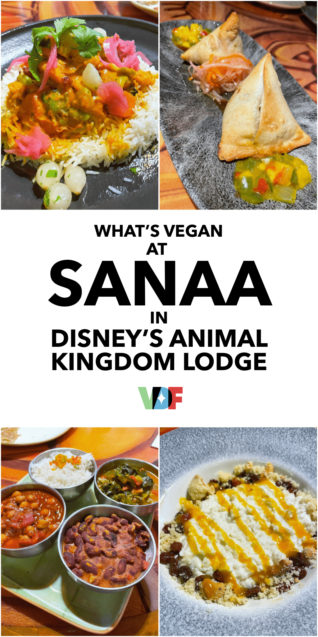 Vegan Review Sanaa Disney's Animal Kingdom