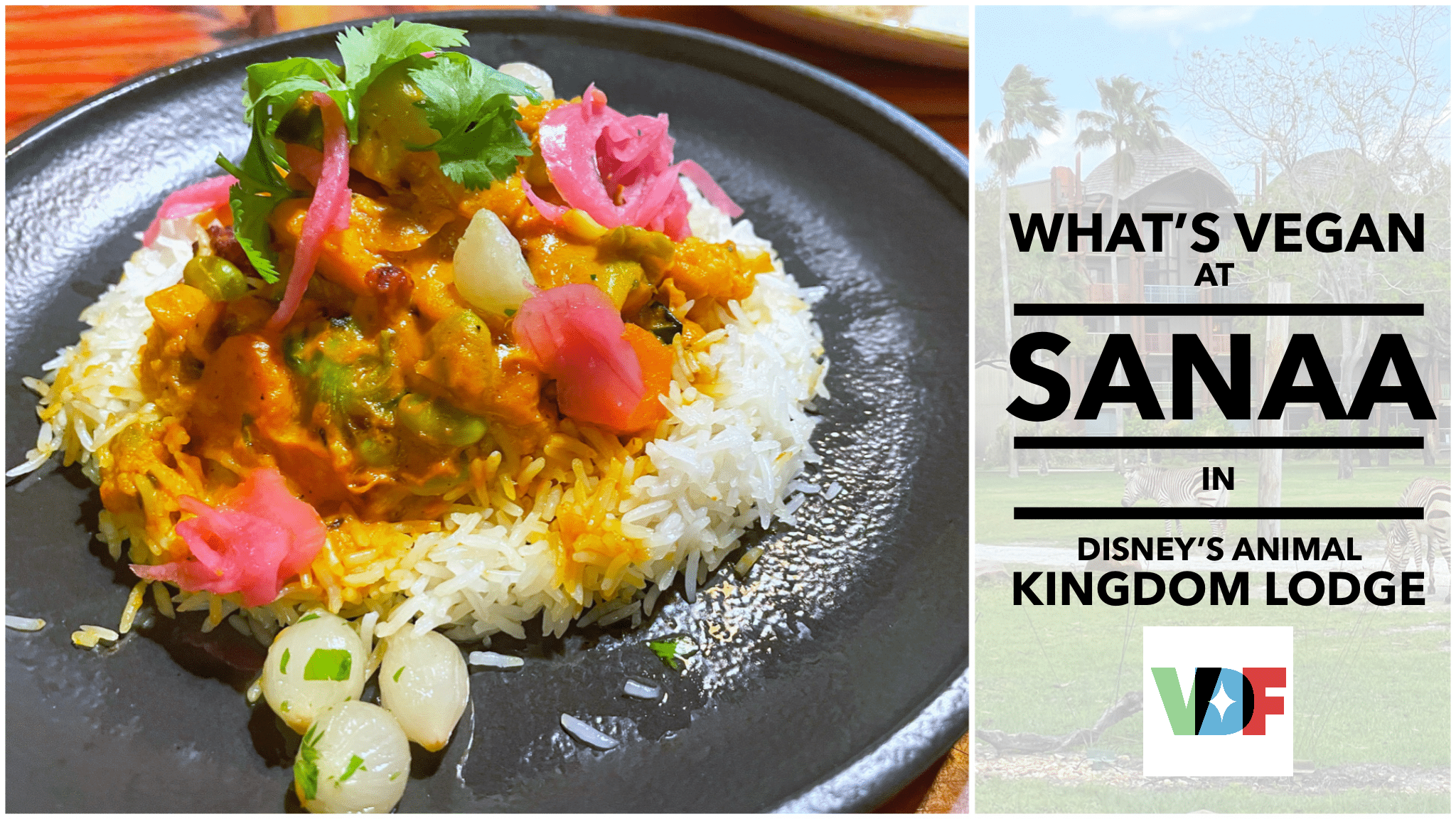 Vegan Review Sanaa Disney's Animal Kingdom