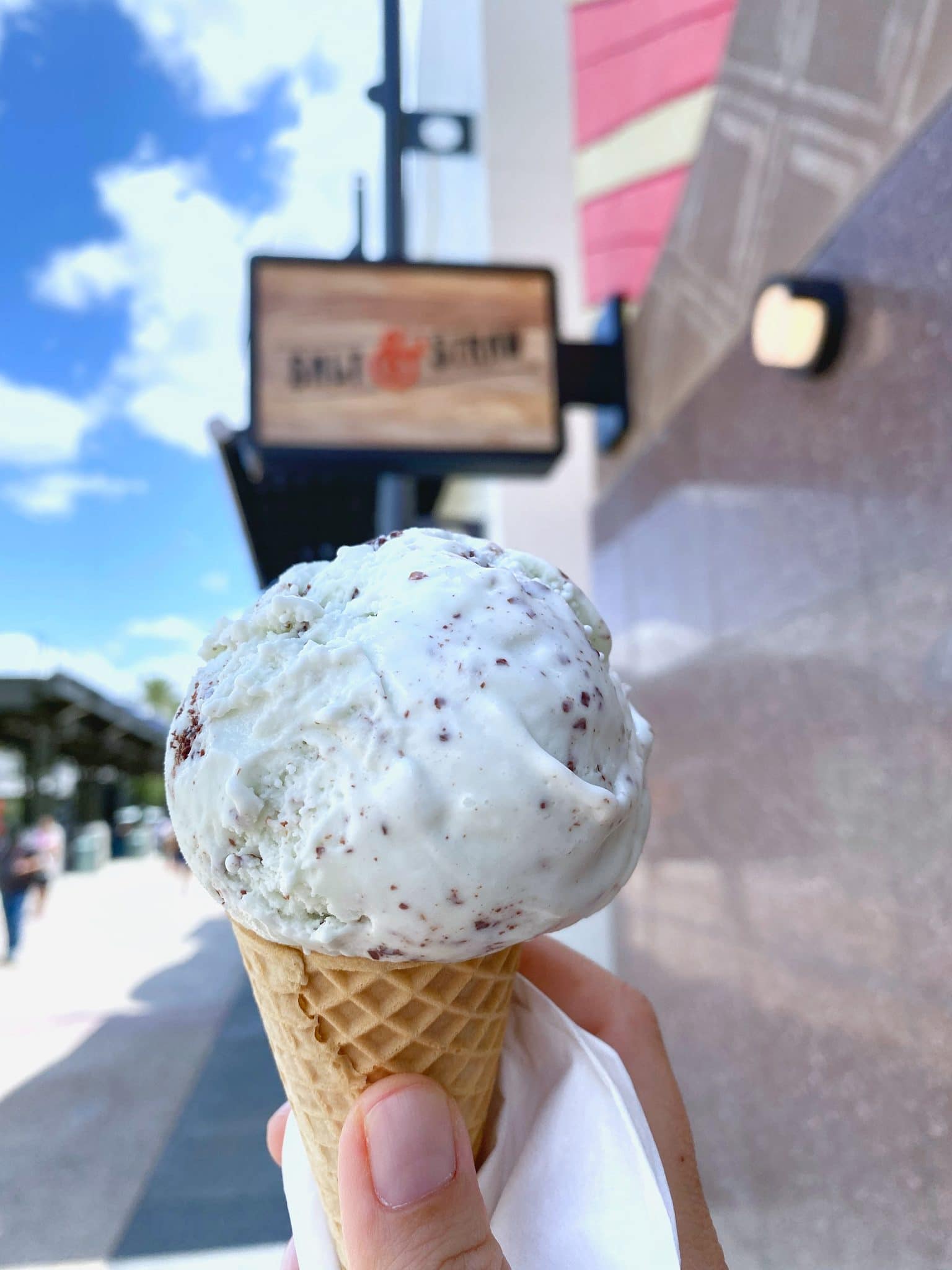 Salt & Straw Freckled Mint Chocolate Chip vegan ice cream