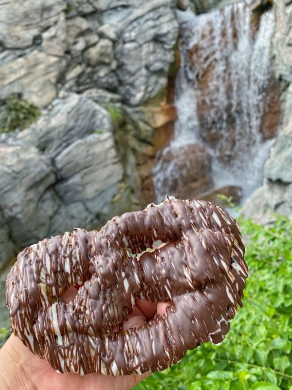 vegan chocolate pretzel epcot norway