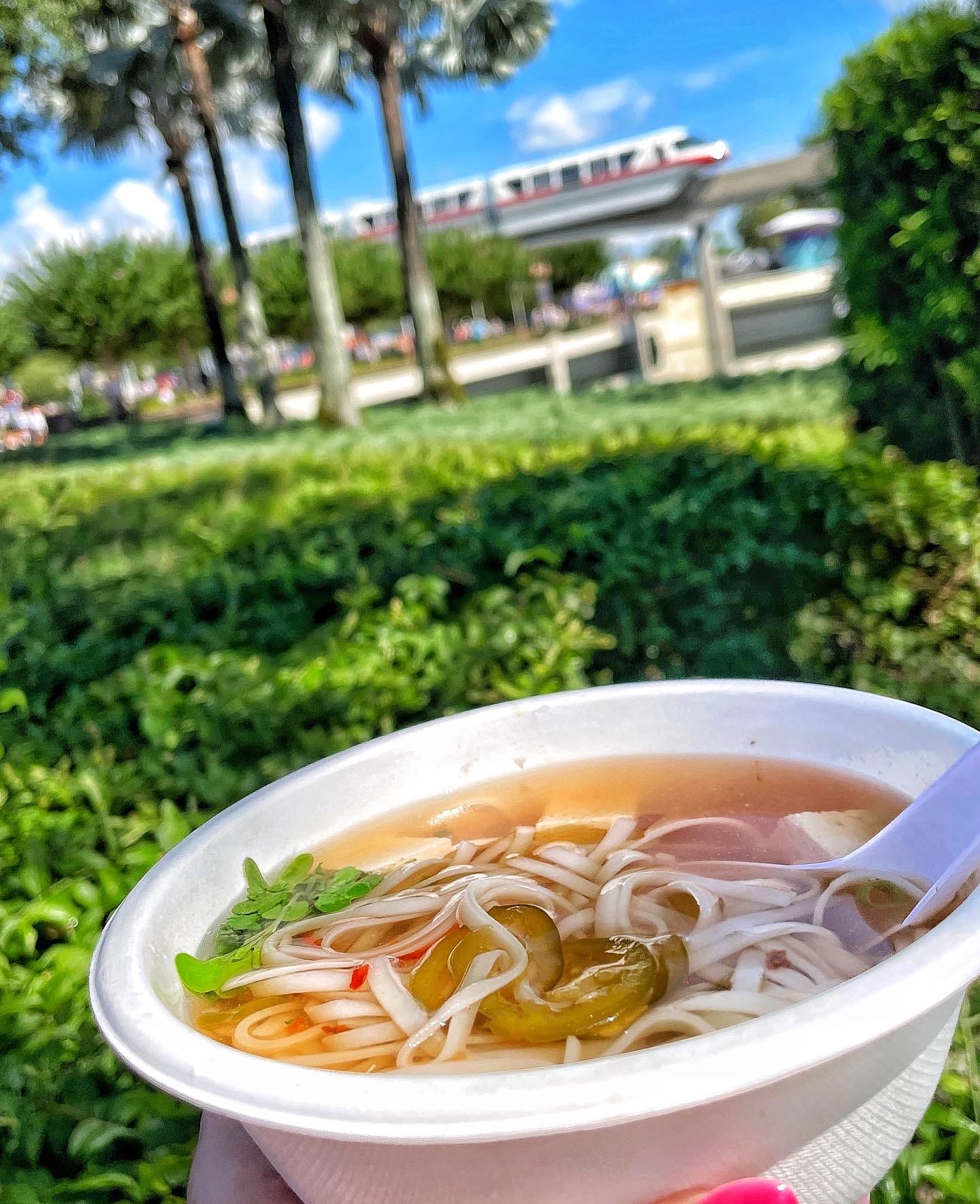Vegan Tofu Pho at the 2022 Epcot Food and Wine Festival