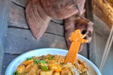 Vegan Peanut Stew from EPCOT Festival of the Holidays