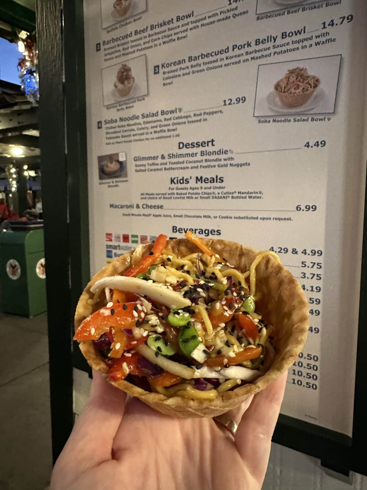 Plantbased Vegan Soba Noodle Waffle Bowl at Disney's Hollywood Studios