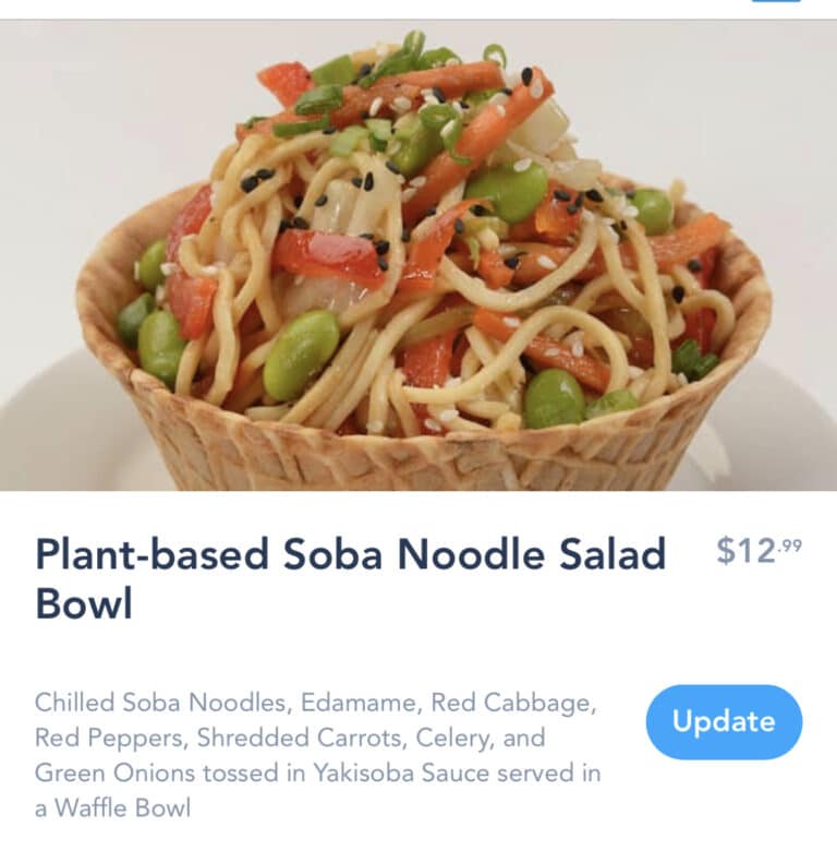 Plantbased Vegan Soba Noodle Waffle Bowl at Disney's Hollywood Studios