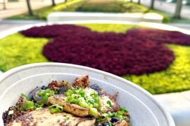 Contempo Cafe Tofu Grain and vegetable Bowl