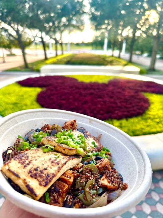Contempo Cafe Tofu Grain and vegetable Bowl