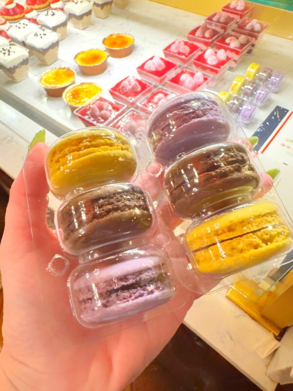 EPCOT France vegan macarons