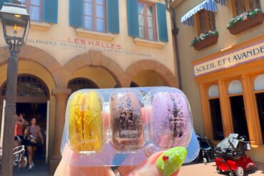 EPCOT France vegan macarons