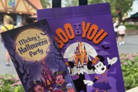 Vegan Guide to the 2025 Mickey's Not So Scary Halloween Party in the Magic Kingdom